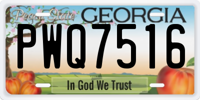 GA license plate PWQ7516
