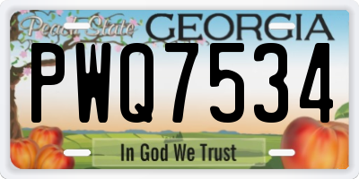 GA license plate PWQ7534
