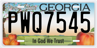 GA license plate PWQ7545