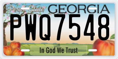 GA license plate PWQ7548