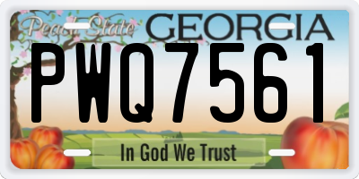 GA license plate PWQ7561