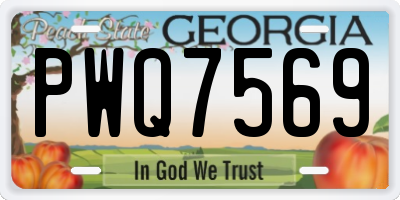 GA license plate PWQ7569