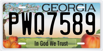 GA license plate PWQ7589