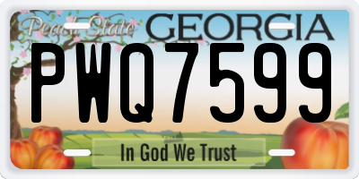GA license plate PWQ7599