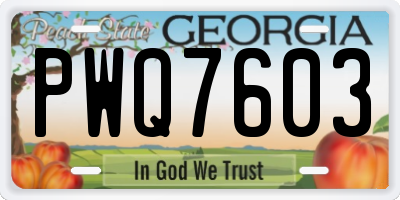GA license plate PWQ7603