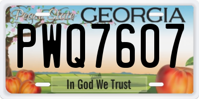 GA license plate PWQ7607