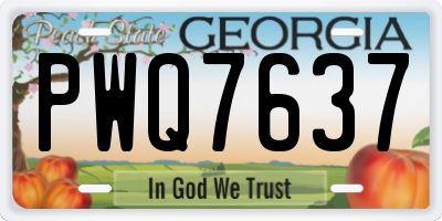 GA license plate PWQ7637