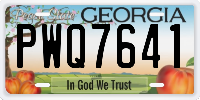 GA license plate PWQ7641