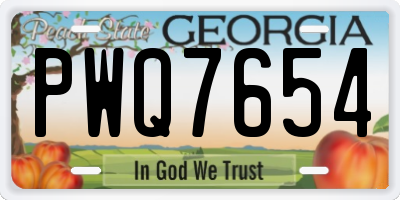 GA license plate PWQ7654