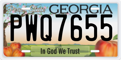 GA license plate PWQ7655
