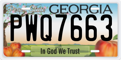 GA license plate PWQ7663