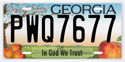 GA license plate PWQ7677