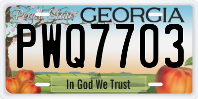 GA license plate PWQ7703