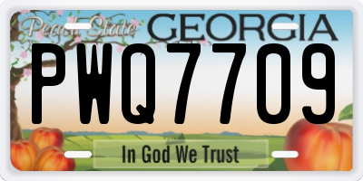 GA license plate PWQ7709