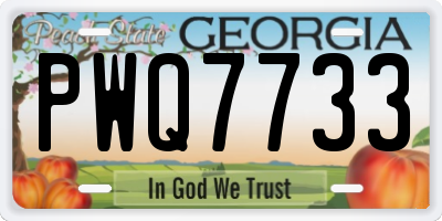 GA license plate PWQ7733