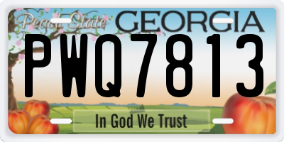 GA license plate PWQ7813