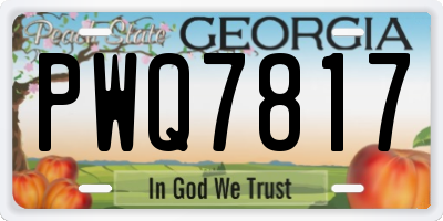 GA license plate PWQ7817