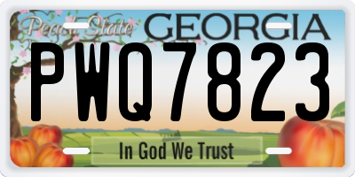 GA license plate PWQ7823
