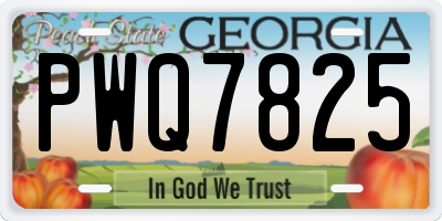 GA license plate PWQ7825