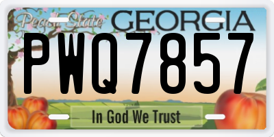 GA license plate PWQ7857