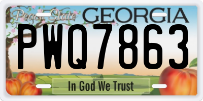 GA license plate PWQ7863
