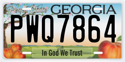 GA license plate PWQ7864