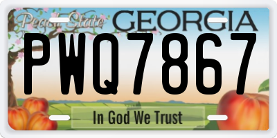 GA license plate PWQ7867