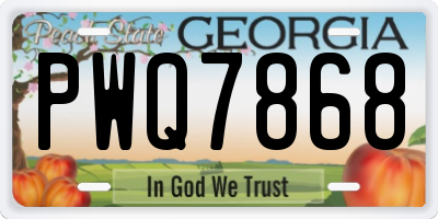 GA license plate PWQ7868