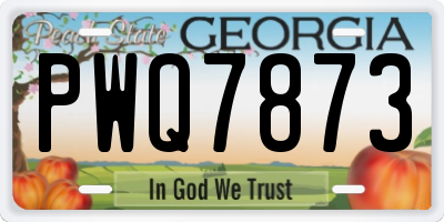 GA license plate PWQ7873