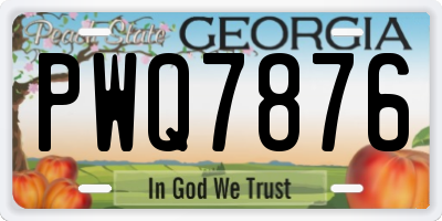 GA license plate PWQ7876