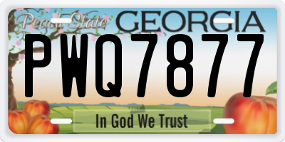 GA license plate PWQ7877