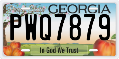 GA license plate PWQ7879
