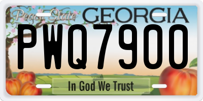 GA license plate PWQ7900