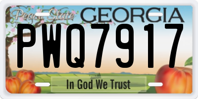 GA license plate PWQ7917