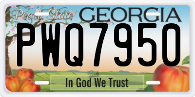 GA license plate PWQ7950