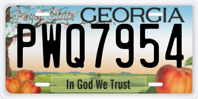 GA license plate PWQ7954