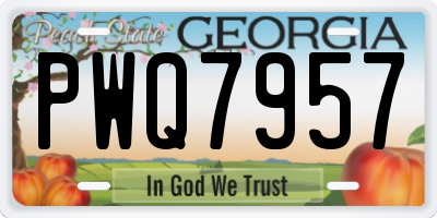 GA license plate PWQ7957