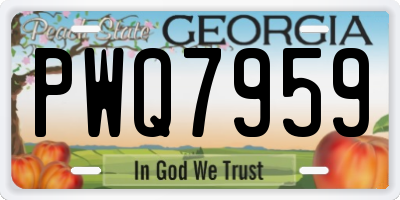 GA license plate PWQ7959