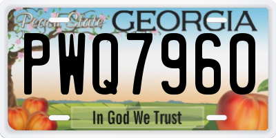 GA license plate PWQ7960