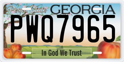 GA license plate PWQ7965