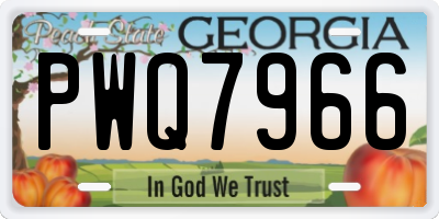 GA license plate PWQ7966