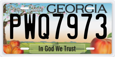 GA license plate PWQ7973