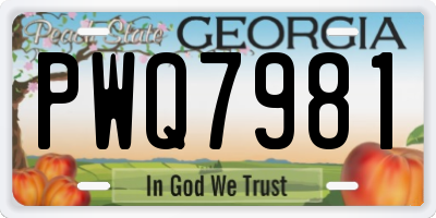 GA license plate PWQ7981