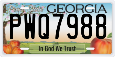 GA license plate PWQ7988