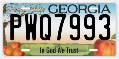 GA license plate PWQ7993