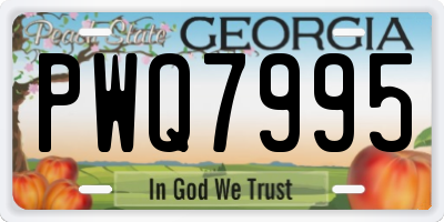 GA license plate PWQ7995