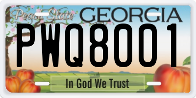 GA license plate PWQ8001