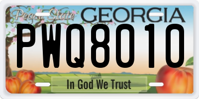 GA license plate PWQ8010