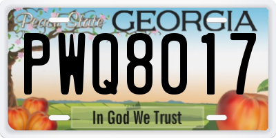 GA license plate PWQ8017