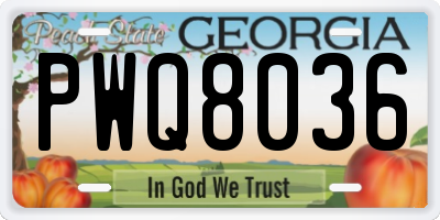 GA license plate PWQ8036